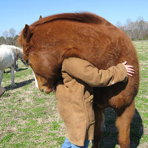 horse_hug_by_kioneslayer_d1xjhnb-fullview.jpg