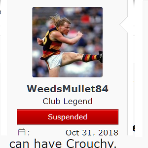 suspended 202208.png