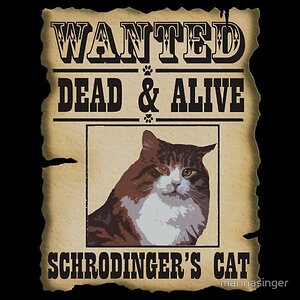 Wanted schrodingers cat.jpg