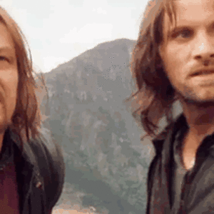 LOTR 1 - Hide!.gif