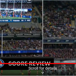 lynch 'goal'.png