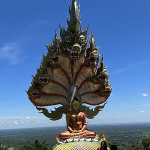 Naga and Buddha.jpg