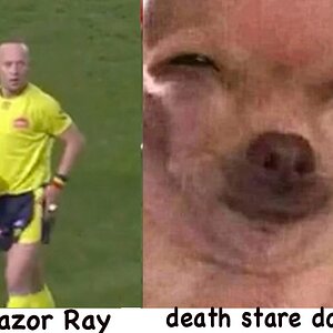 dirty look razor ray.jpg