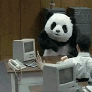 angry-panda.gif