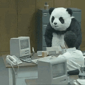 panda-flip-desk.gif