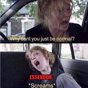 Essendon Meme.png