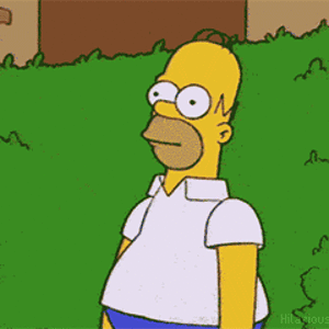 homer-simpson-bush-gif.gif