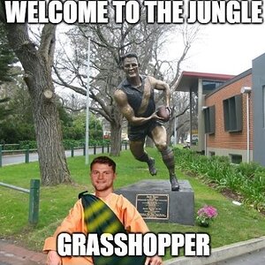 WELCOME GRASSHOPPER2.jpg