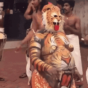 tiger-dance-tiger (1).gif