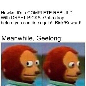 geelong_sideye.jpg