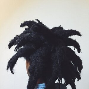 Thick-Afro-Dreads.jpg