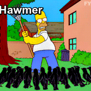 Hawmer crow attack.gif