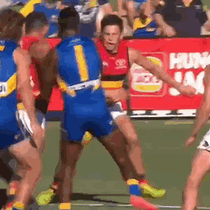 Crows-v-WC 20230303 preseason [b].gif