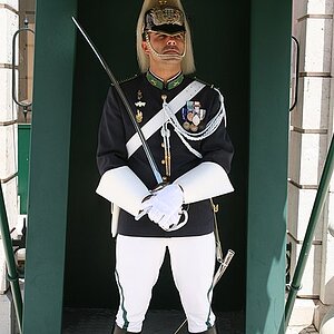 Guard_(2529280868).jpg