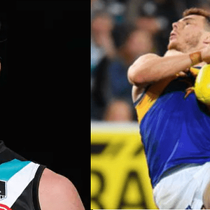 Jonas vs Shuey.png