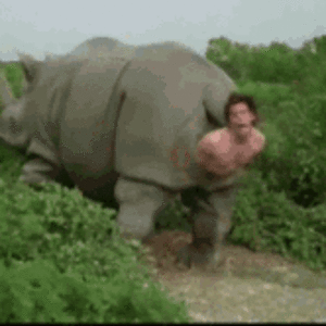 ace-ventura-rhino.gif