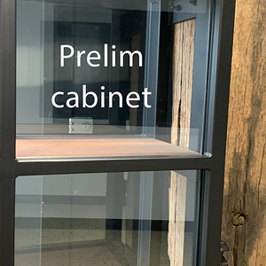 prelim cabinet.png