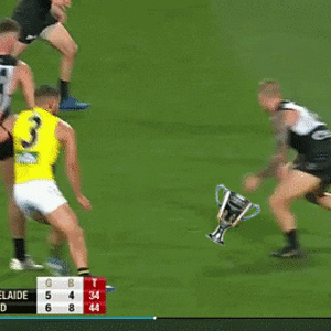 Hamish Hartlett (3).gif