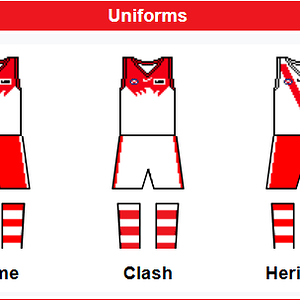 Swans jersey.png