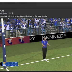 Screenshot 2023-05-05 at 18-39-39 Adam Simpson … the goal umpire Fans in uproar after AFL 23 l...png