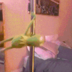 kermit-stripper.gif