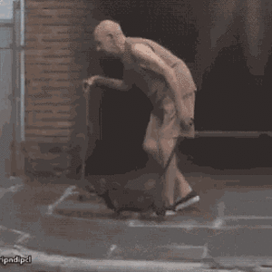 D8120579-7CF2-4EDB-AA41-ADBAC81E5F78.gif