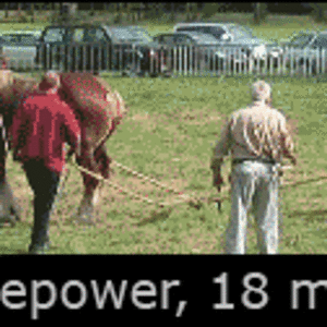 One-horsepower-tug-of-war-709996314.gif