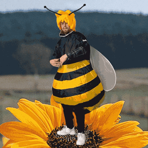 bee-dance.gif