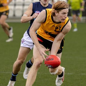 Vic Metro v WA-3.jpg