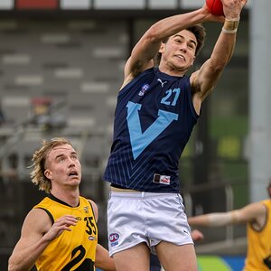 Vic Metro v WA-7.jpg