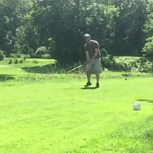 golf1.gif