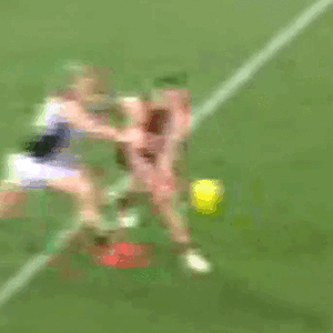 Thilthorpe v. Port [a].gif