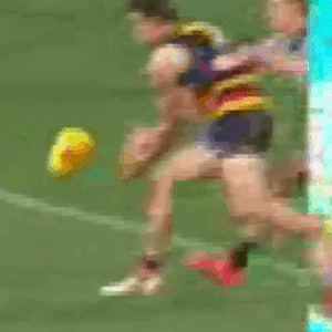 Thilthorpe v. Port [b].gif